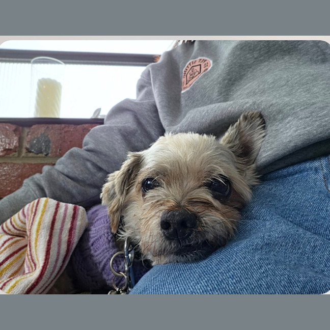Photo of Darla