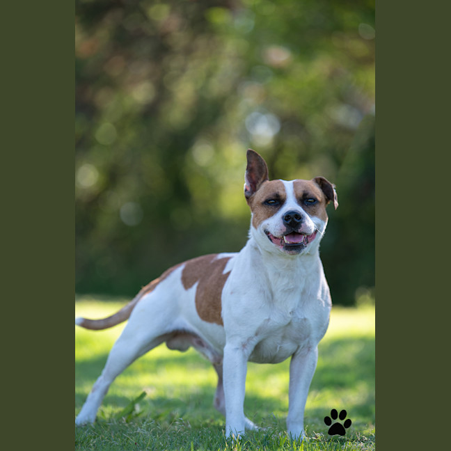 Photo of Monty