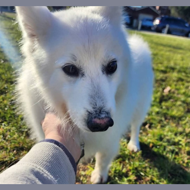 Photo of Noah