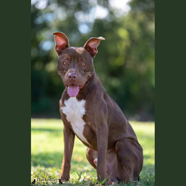 Photo of Jasper
