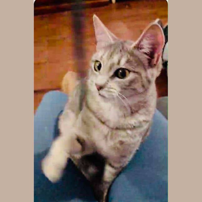 Photo of Skye