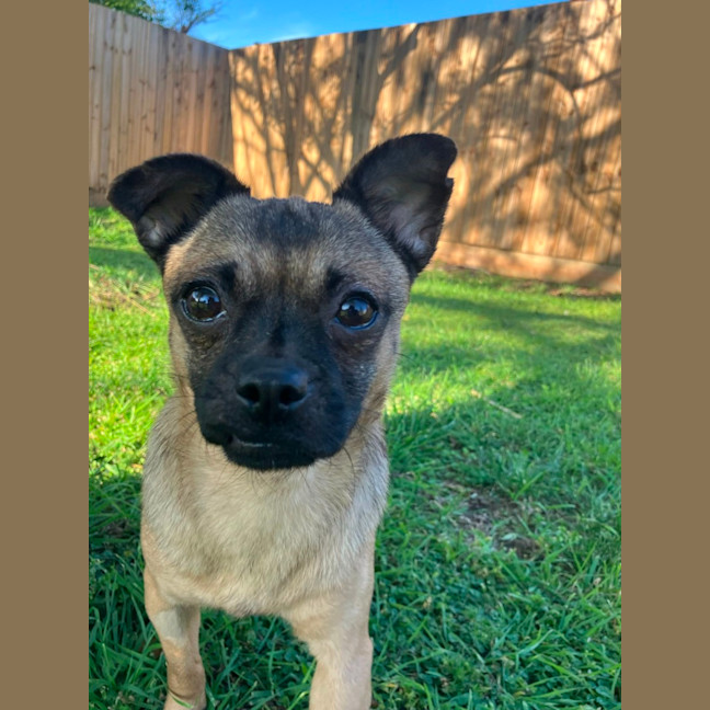 Photo of Minnie 🐭