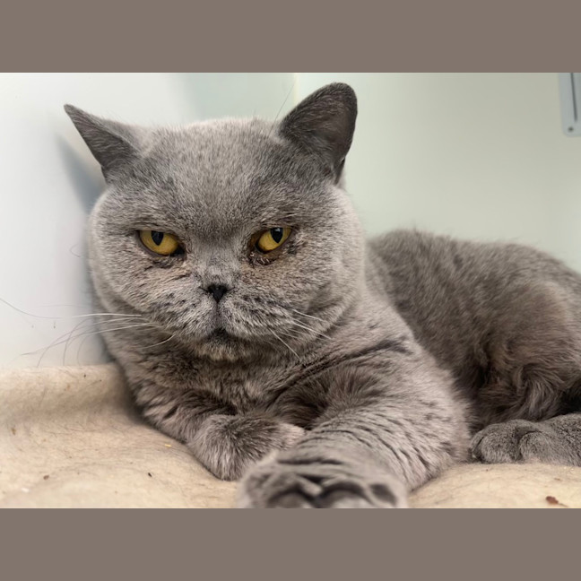 Photo of April Showers