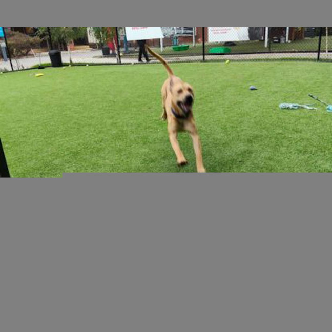 Photo of Mike Wheeler