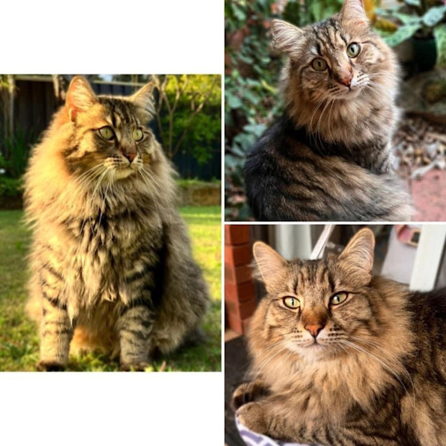 Photo of 11307   George