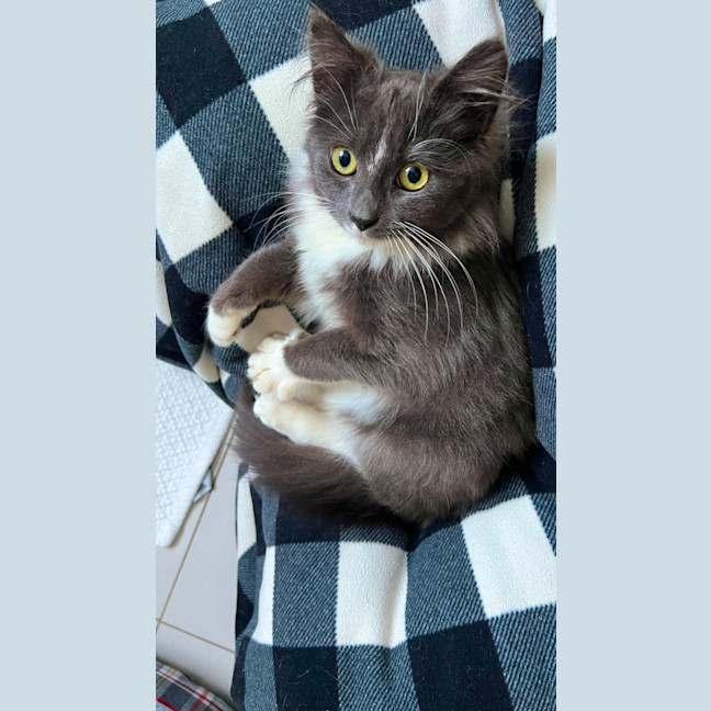 Photo of Jayla