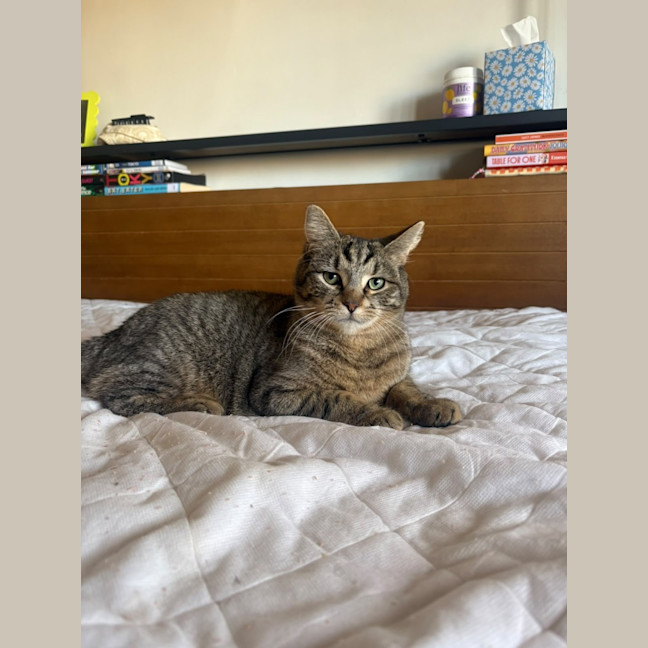 Photo of Peggy