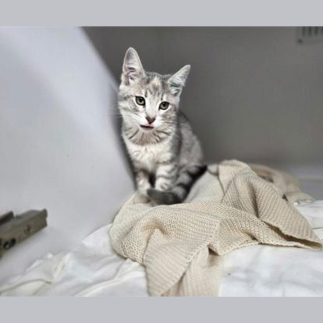 Photo of Luna