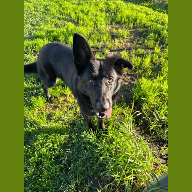 Photo of Azula