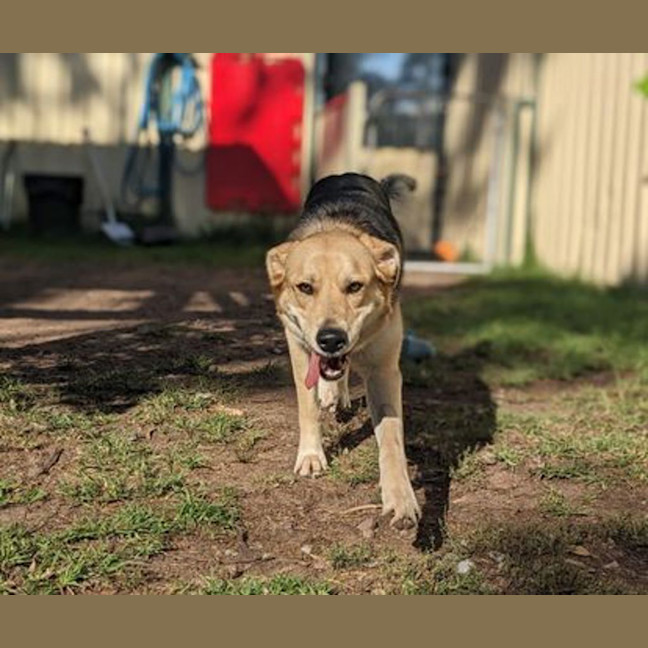 Photo of Hera
