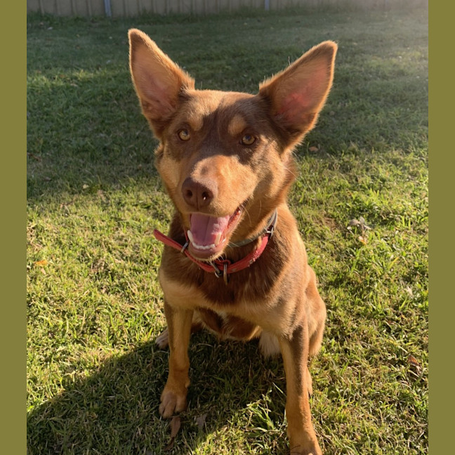 Photo of Nora