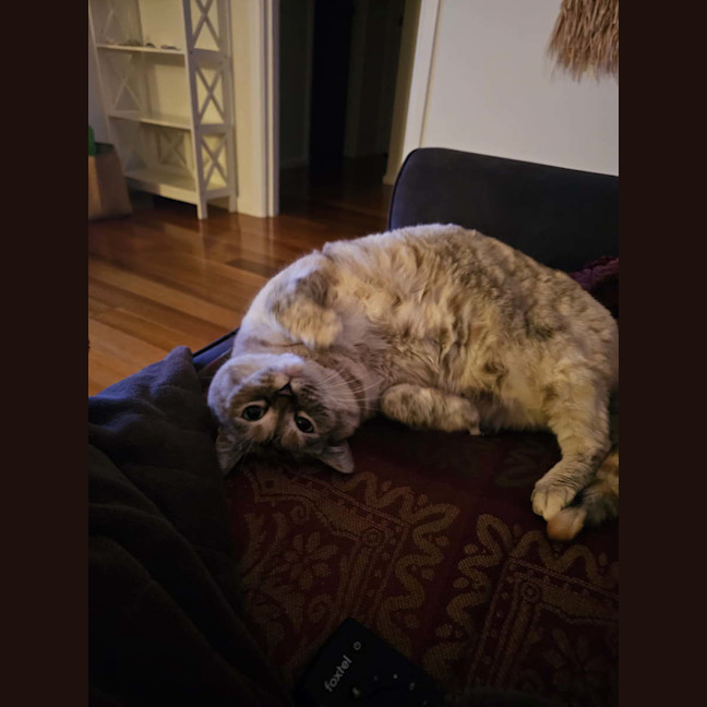 Photo of Matilda ( Tilly ) 