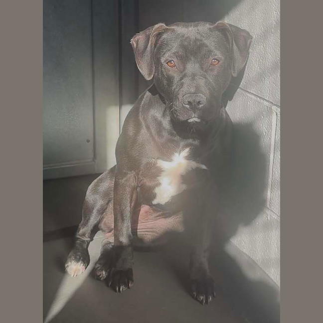 Photo of Chloe