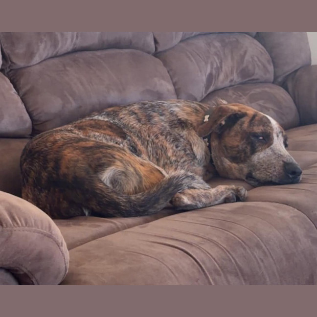 Photo of Puzzle