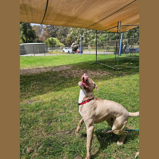 Photo of Clifford