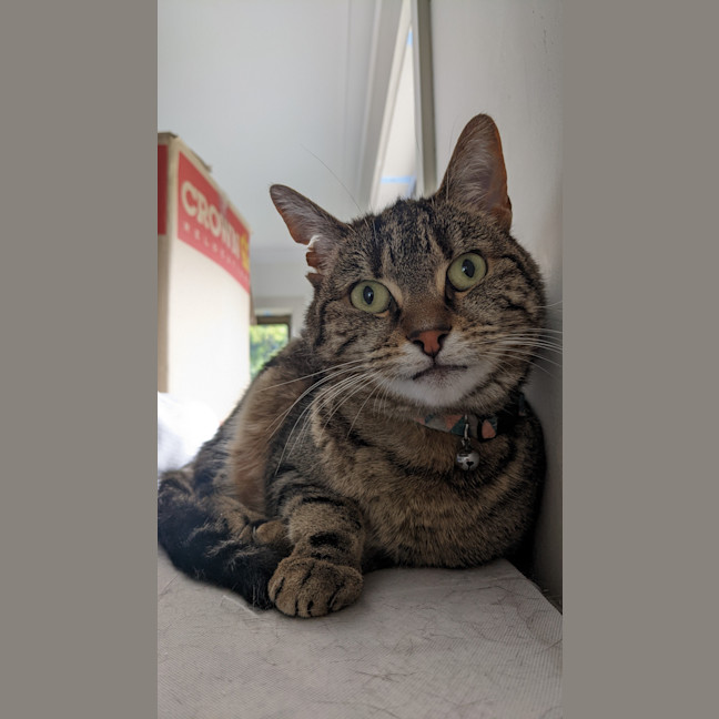 Photo of Dee