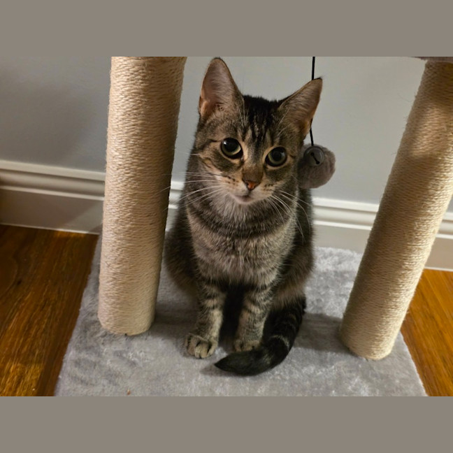 Photo of Jasmine