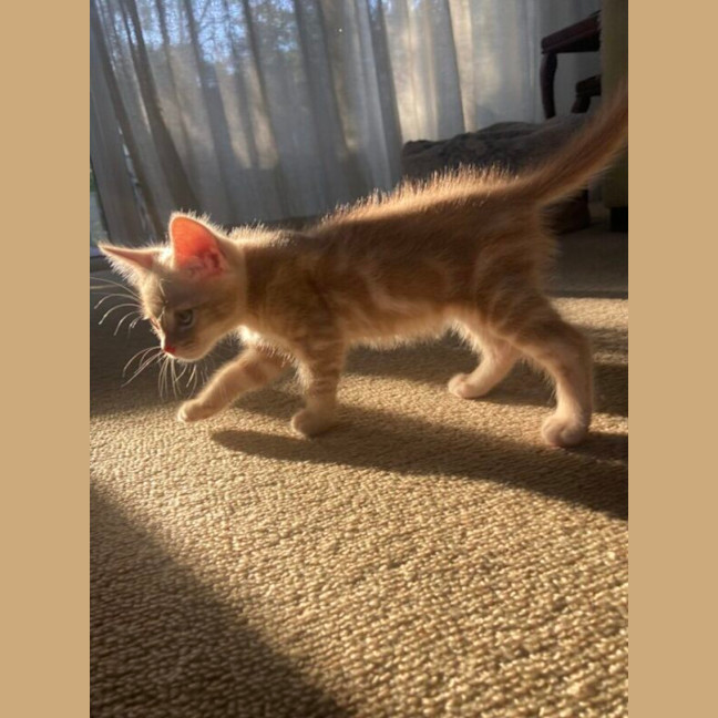 Photo of Stuart Little