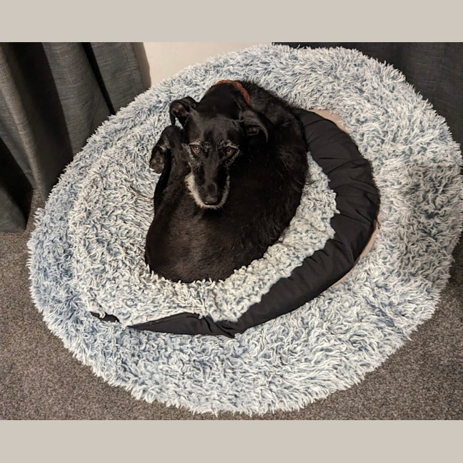 Photo of Betty