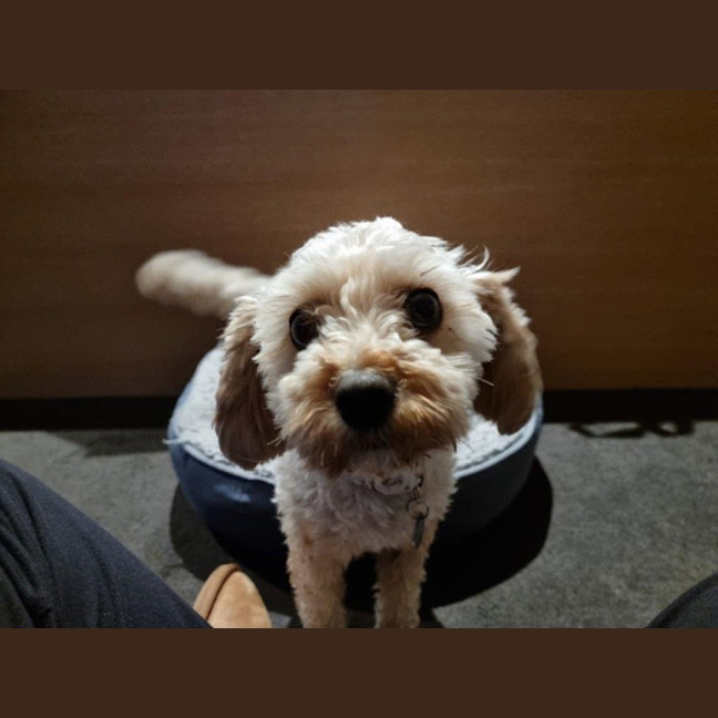 Photo of Anson Lozano