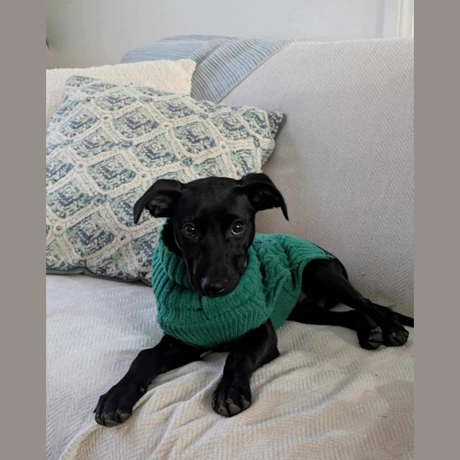 Photo of Vera
