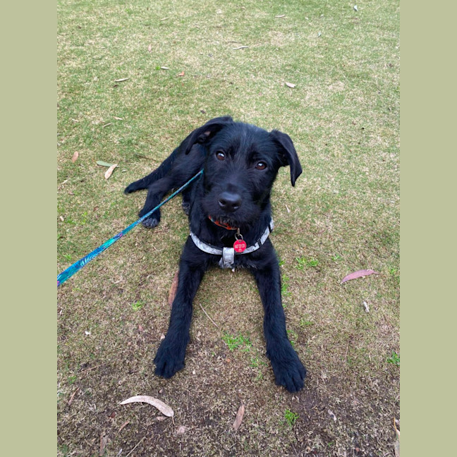 Photo of Maisey