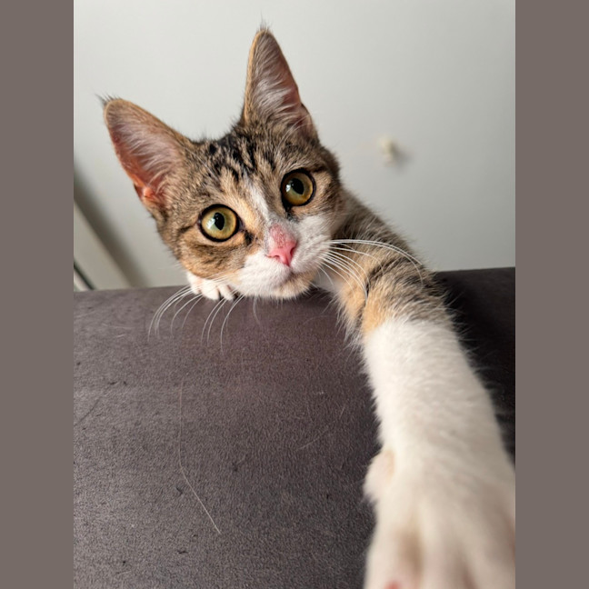 Photo of Flynn