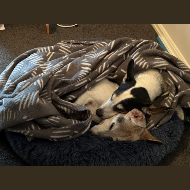 Photo of Ruby And Vincent Silvanus