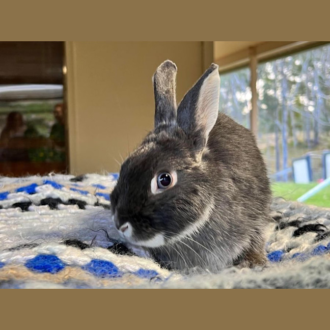 Photo of Fallon And Anders