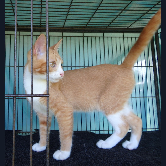 Photo of Brooke And Bruce