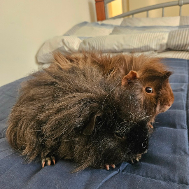 Photo of Fred & Barney