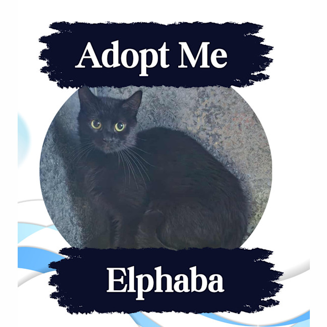 Photo of Elphaba