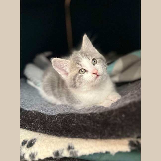 Photo of 💛 Maeve 💛