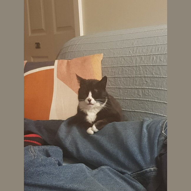 Photo of Amy