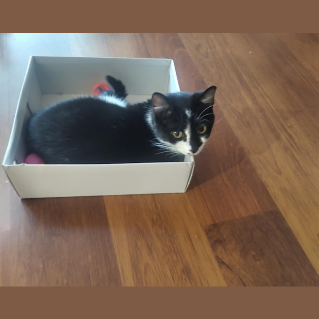 Photo of Tilly