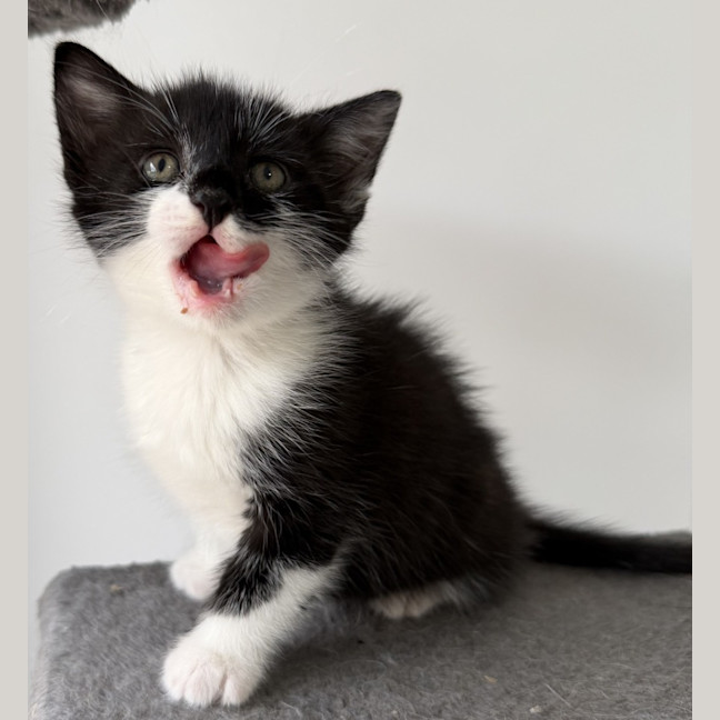 Photo of Moana 🌷🌷🌷