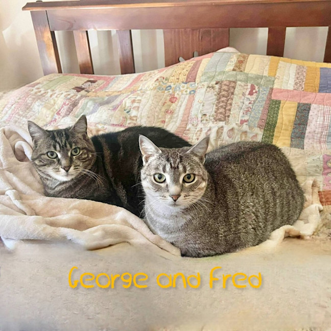 Photo of Fred And George