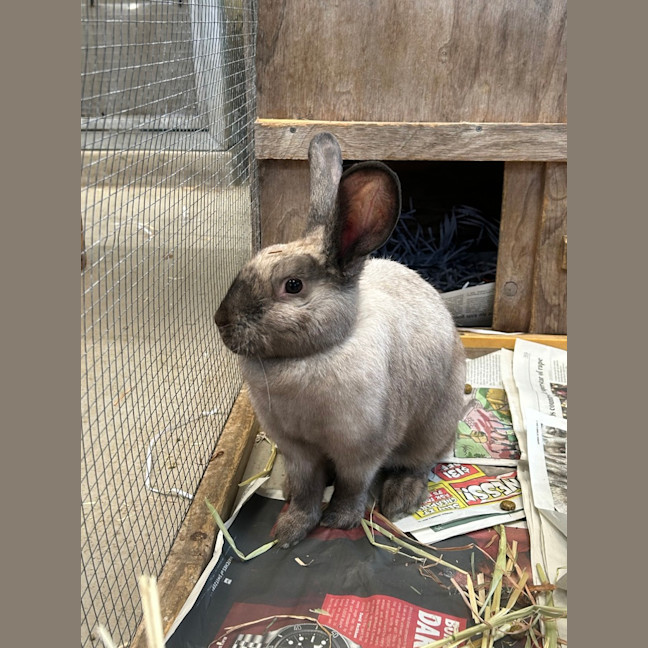 Photo of Boots