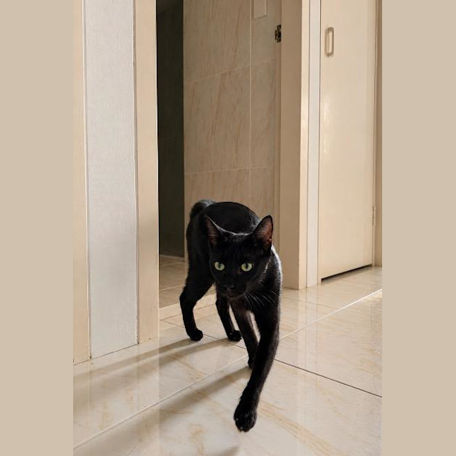 Photo of Claudine