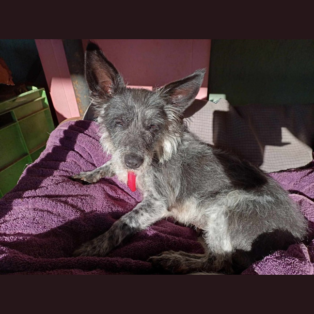 Photo of Benji & Lizzie