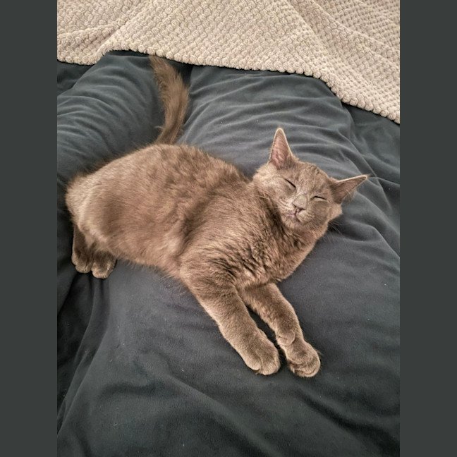 Photo of Charlie King