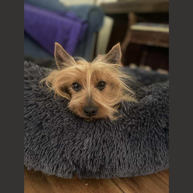 Photo of Occy