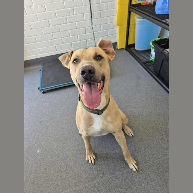 Photo of Mike! 🛋️🦎