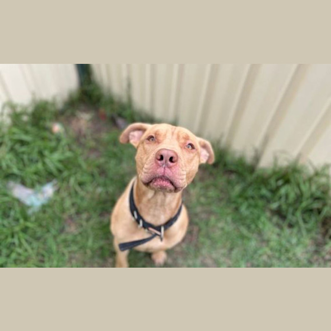 Photo of Cyrus