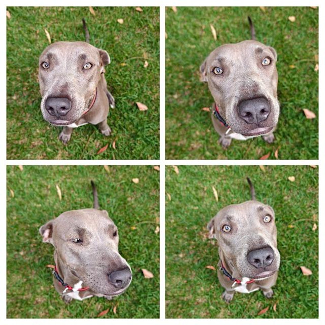 Photo of Sasha