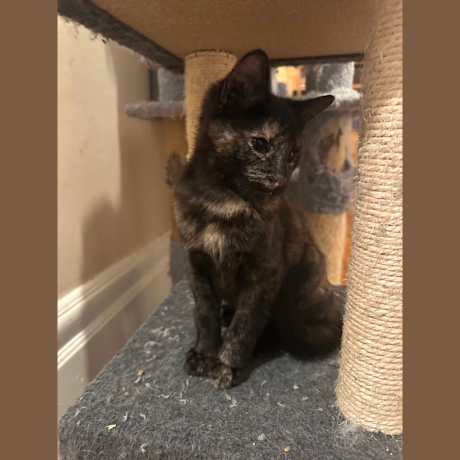 Photo of Penelope