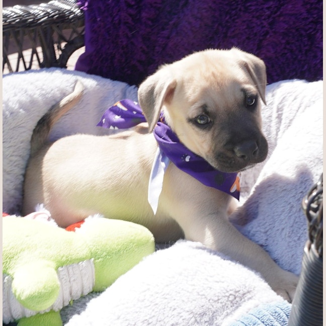 Photo of Vinnie