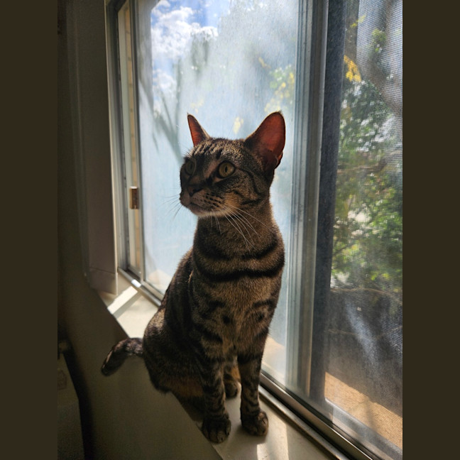 Photo of Lexi
