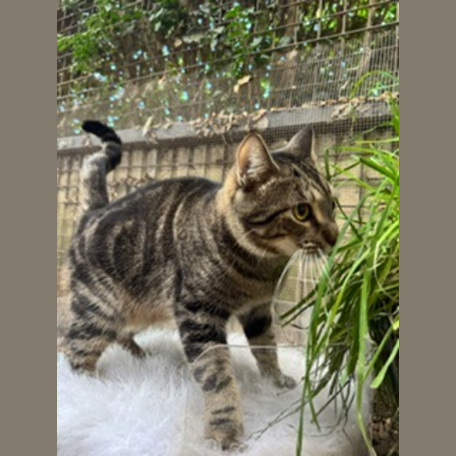 Photo of Monty