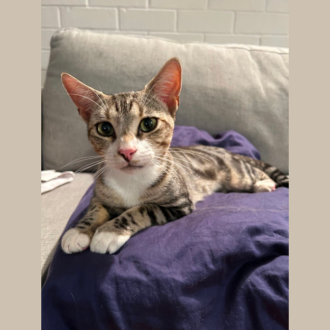 Photo of Squeak